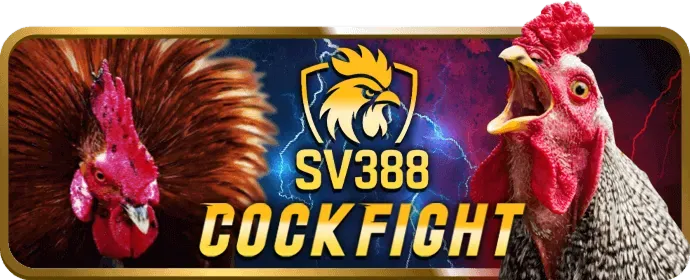 Đặt cược tại bet8 nhà cái